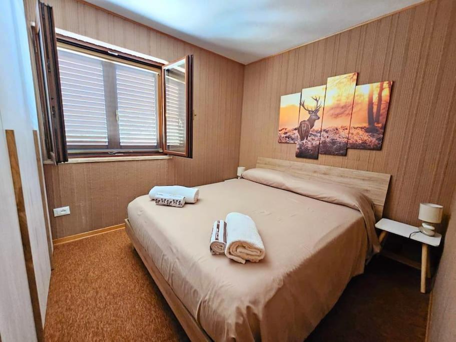 Loricaskihome Buitenkant foto