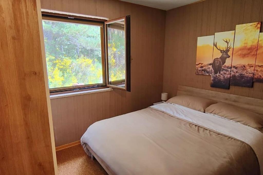 Loricaskihome Buitenkant foto