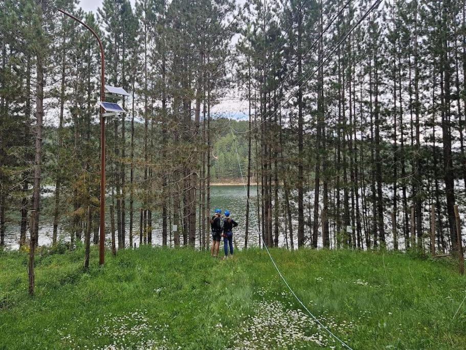 Loricaskihome Buitenkant foto